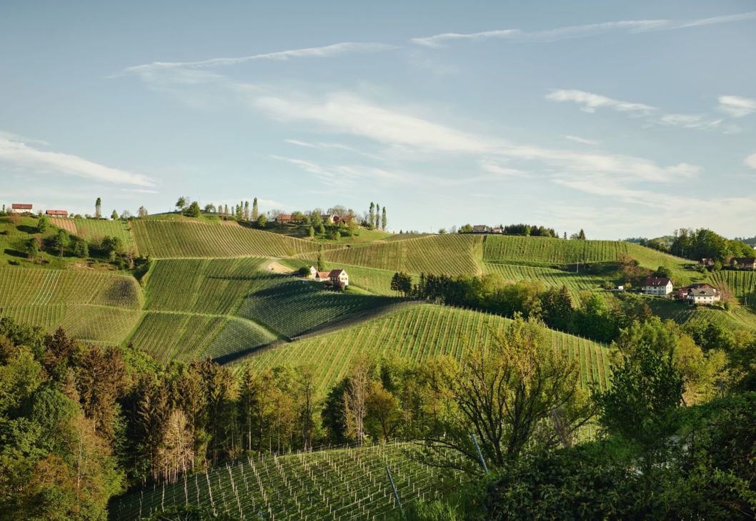 Landschaft Südsteiermark