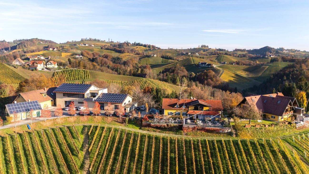 Weingut des Monats Winzer Vinofaktur