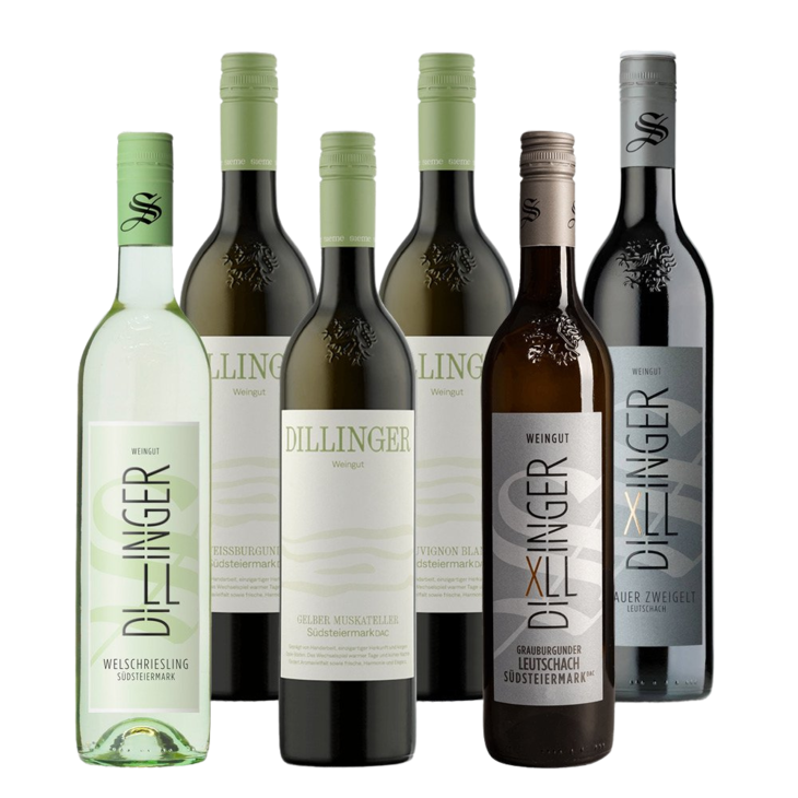 Verkostungspaket Weingut Winzer des Monats