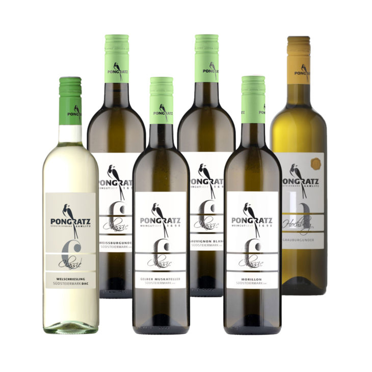 Verkostungspaket Weingut Winzer des Monats