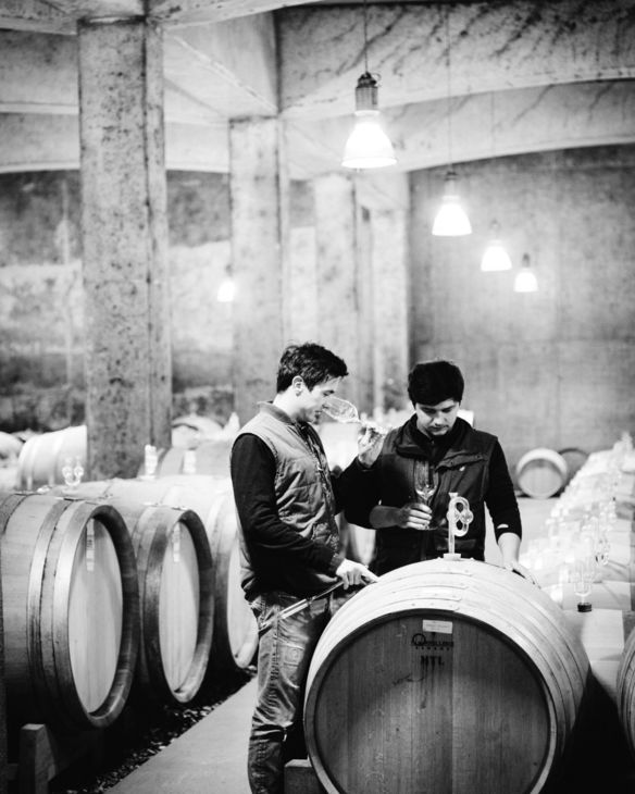 Weingut Tement Weingut des Monats Winzer Vinofaktur